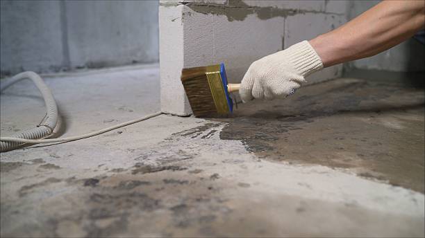 SJ Waterproofing Pros Emergency Waterproofing coverage map for Andrews, SC and surrounding area